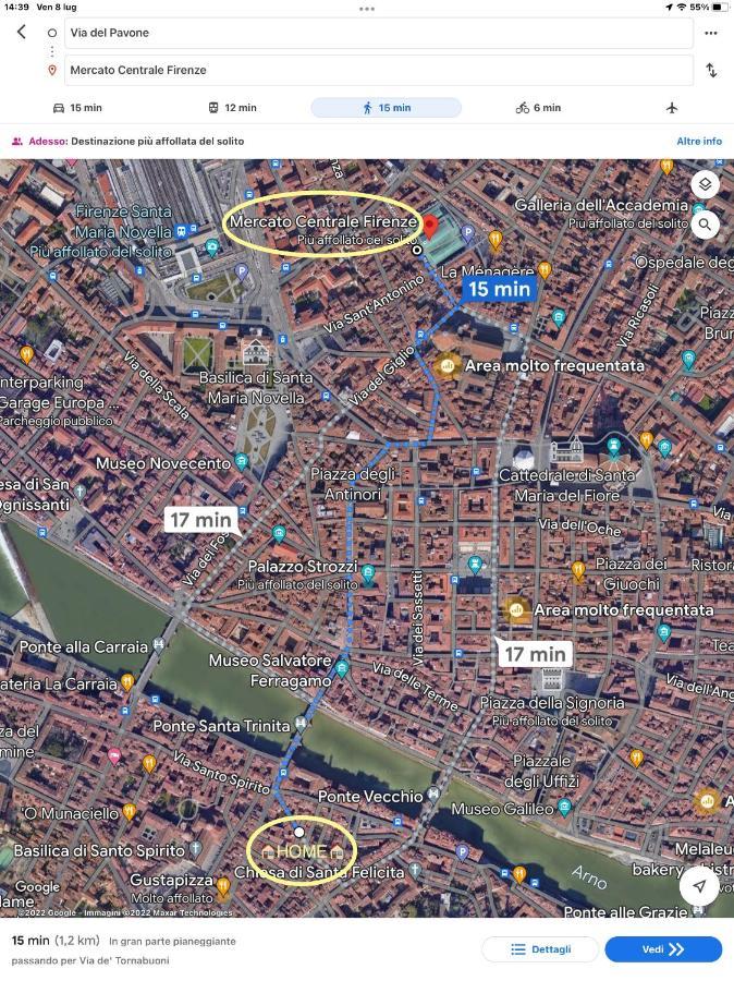 Uffizi & Santo Spirito Family/Groups Apartment فلورنس المظهر الخارجي الصورة